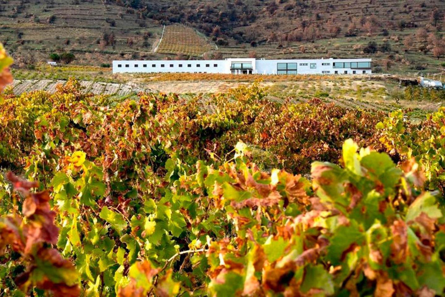 Hotel Tierras De Cebreros Exteriér fotografie